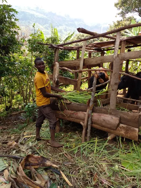 farming sustainable food supply